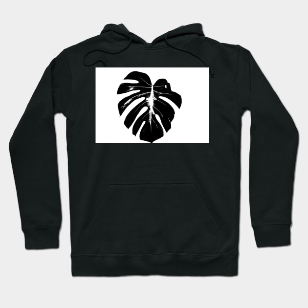 monstera leaf on white background closeup Hoodie by brians101